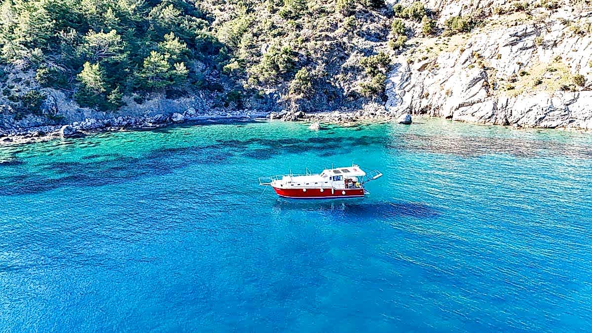 First sample avatar image