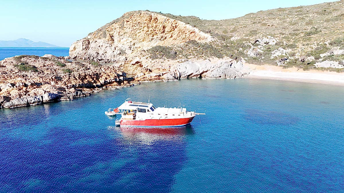 First sample avatar image